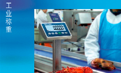 电子台秤综合样本